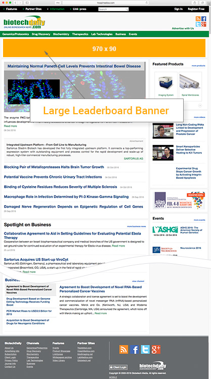 Large Leaderboard Banner