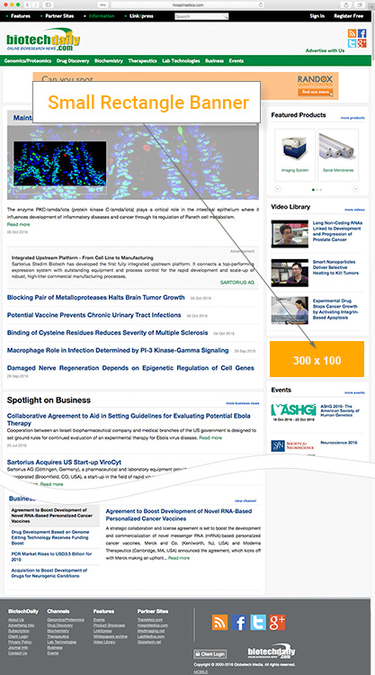 Small Rectangle Banner